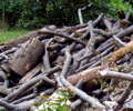 st&ouml;ckchenfreie zone